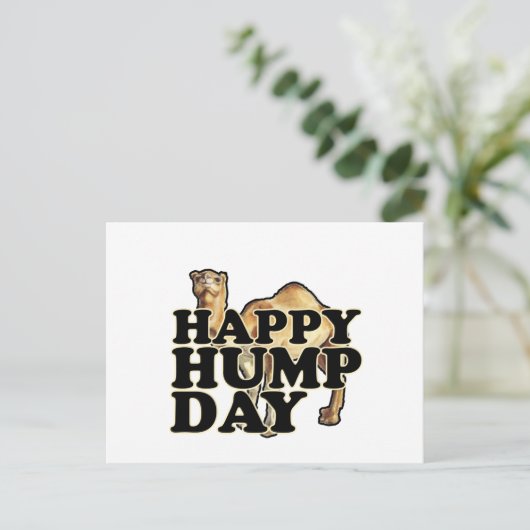 Hump Day Camel T Shirts M.png Postkarte (Stehend Vorderseite)
