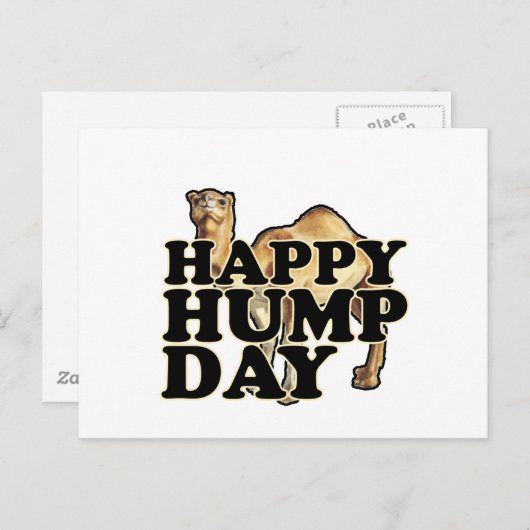 Hump Day Camel T Shirts M.png Postkarte (Vorne/Hinten)