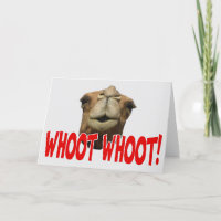 Hump Day Camel Whoot Whoot Grußkarte