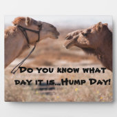 Hump Day Camels Fotoplatte (Vorderseite)
