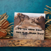 Hump Day Camels Fotoplatte (Seite)