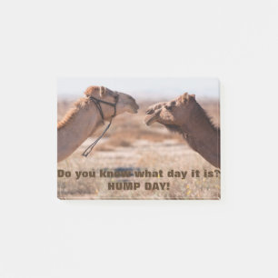 Hump Day Camels Post-it Klebezettel
