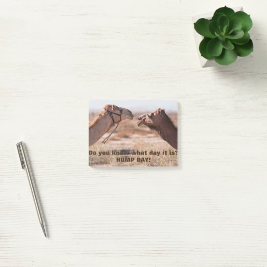 Hump Day Camels Post-it Klebezettel (Büro)