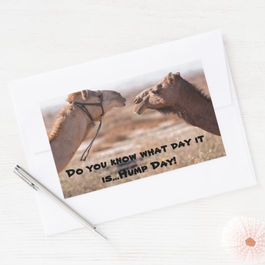 Hump Day Camels Rechteckiger Aufkleber (Umschlag)