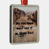 Hump Day Camels Silbernes Ornament (Rechts)
