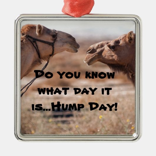 Hump Day Camels Silbernes Ornament (Vorne)