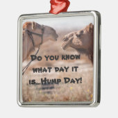 Hump Day Camels Silbernes Ornament (Links)