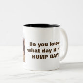 Hump Day Camels Zweifarbige Tasse (VorderseiteRechts)
