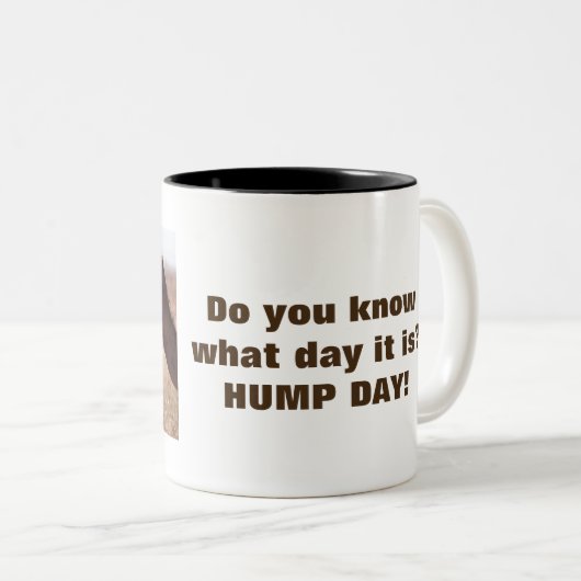 Hump Day Camels Zweifarbige Tasse (VorderseiteRechts)
