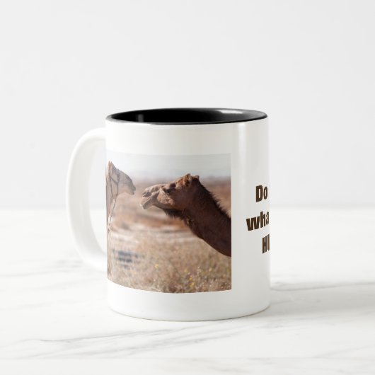 Hump Day Camels Zweifarbige Tasse (Vorderseite Links)