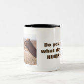Hump Day Camels Zweifarbige Tasse (Mittel)