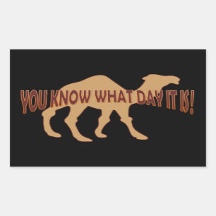 HUMP DAY HUMP DAY KAMEL RECHTECKIGER AUFKLEBER