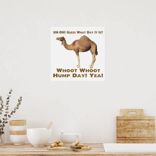 Hump Day Poster (Küche)