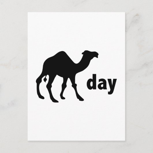 Hump Day Postkarte (Vorderseite)
