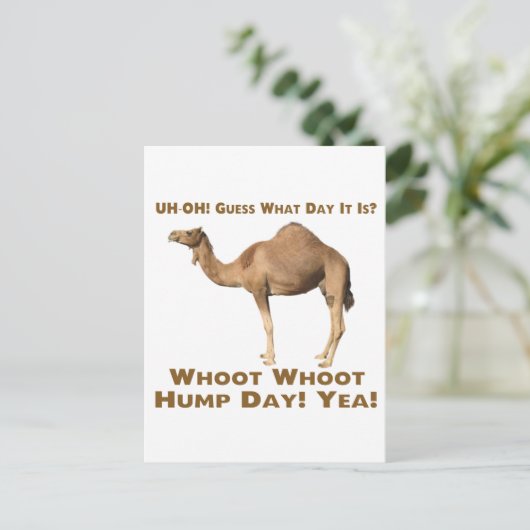 Hump Day Postkarte (Stehend Vorderseite)
