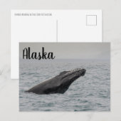 Humpback Breach Alaska Postkarte (Vorne/Hinten)