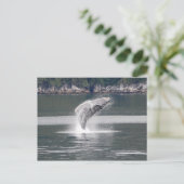 Humpback Breach Postkarte (Stehend Vorderseite)