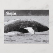 Humpback Break Schwarz-Weiß Postkarte (Vorderseite)