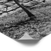 Humpback Covered Bridge Poster (Ecke)