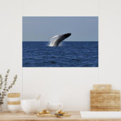 Humpback Poster (Küche)