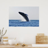 Humpback Poster (Küche)