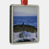 Humpback Schwanz. Ornament Aus Metall (Rechts)