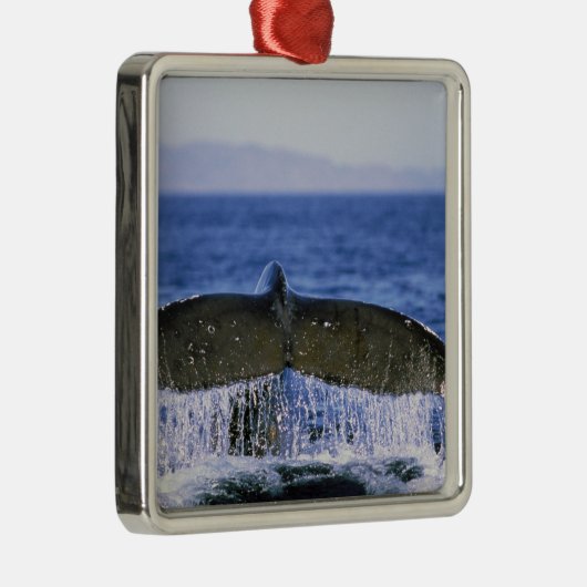 Humpback Schwanz. Ornament Aus Metall (Rechts)