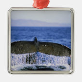 Humpback Schwanz. Ornament Aus Metall (Vorne)