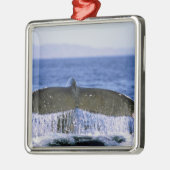 Humpback Schwanz. Ornament Aus Metall (Links)