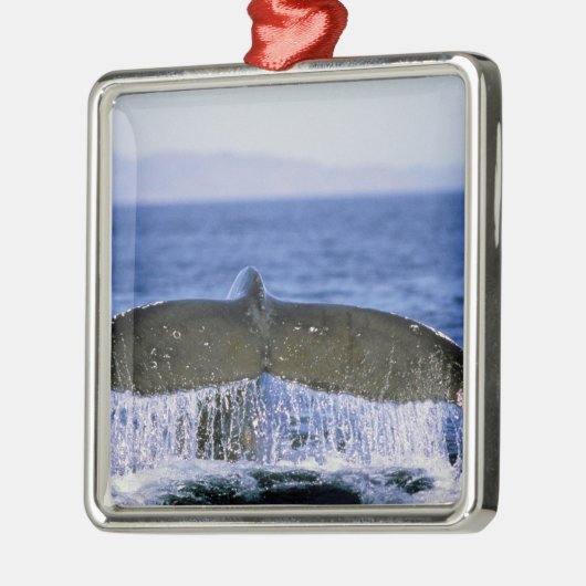 Humpback Schwanz. Ornament Aus Metall (Links)