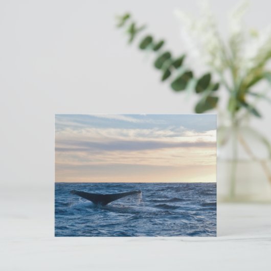 Humpback Schwanz Postkarte (Stehend Vorderseite)
