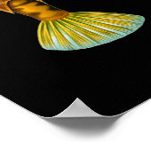 Humpback Turretfish, Ernst Haeckel Kunst Poster (Ecke)