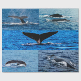 Humpback Wal Geschenkpapier