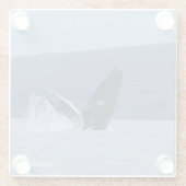 Humpback Wal Head Lunge Glas Untersetzer (Rückseite)