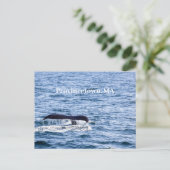 Humpback Wal Postcard Postkarte (Stehend Vorderseite)
