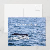 Humpback Wal Postcard Postkarte (Vorne/Hinten)