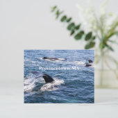 Humpback Wal Schwanz Postcard Postkarte (Stehend Vorderseite)