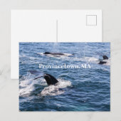 Humpback Wal Schwanz Postcard Postkarte (Vorne/Hinten)