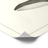 Humpback Wal und Minke Whale Poster (Ecke)