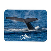 Humpback-Walbild auf Maui Magnet (Horizontal)