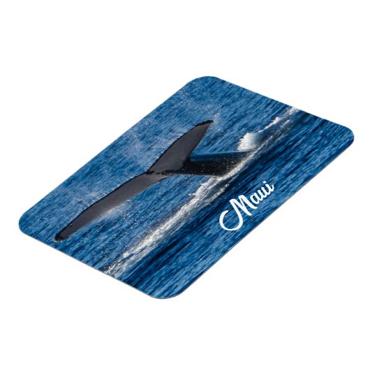 Humpback-Walbild auf Maui Magnet (Linke Seite)