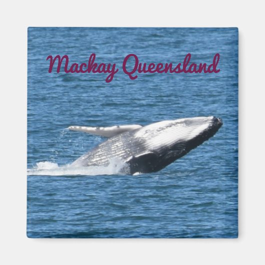 HUMPBACK WALE SCHWANZ MACKAY QUEENSLAND AUSTRALIA MAGNET (Vorne)
