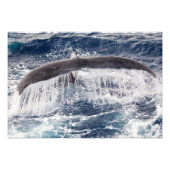 Humpback Waterfall Foto Print (Vorne)