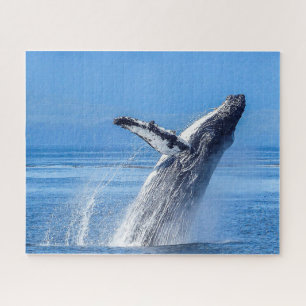 Humpback Whale Alaska Puzzle