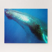 Humpback Whale Alaska Puzzle (Horizontal)