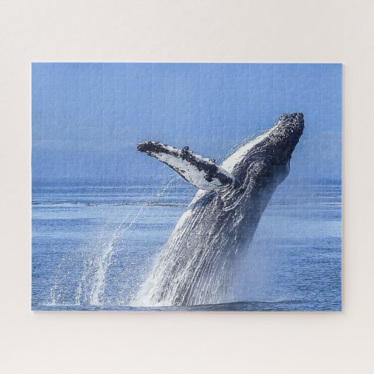 Humpback Whale Alaska Puzzle (Horizontal)