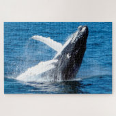 Humpback Whale Alaska Puzzle (Horizontal)