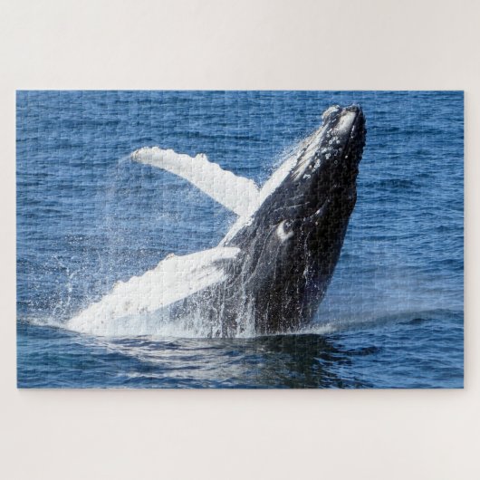 Humpback Whale Alaska Puzzle (Horizontal)