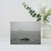 Humpback Whale and Tall Ship Postcard Postkarte (Stehend Vorderseite)