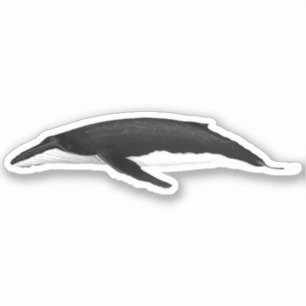 HUMPBACK WHALE AUFKLEBER
